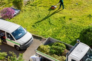 Lawn care