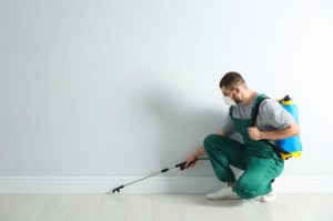 Exterminator